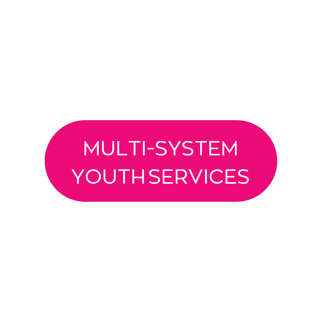 Multi-System Youth Services
